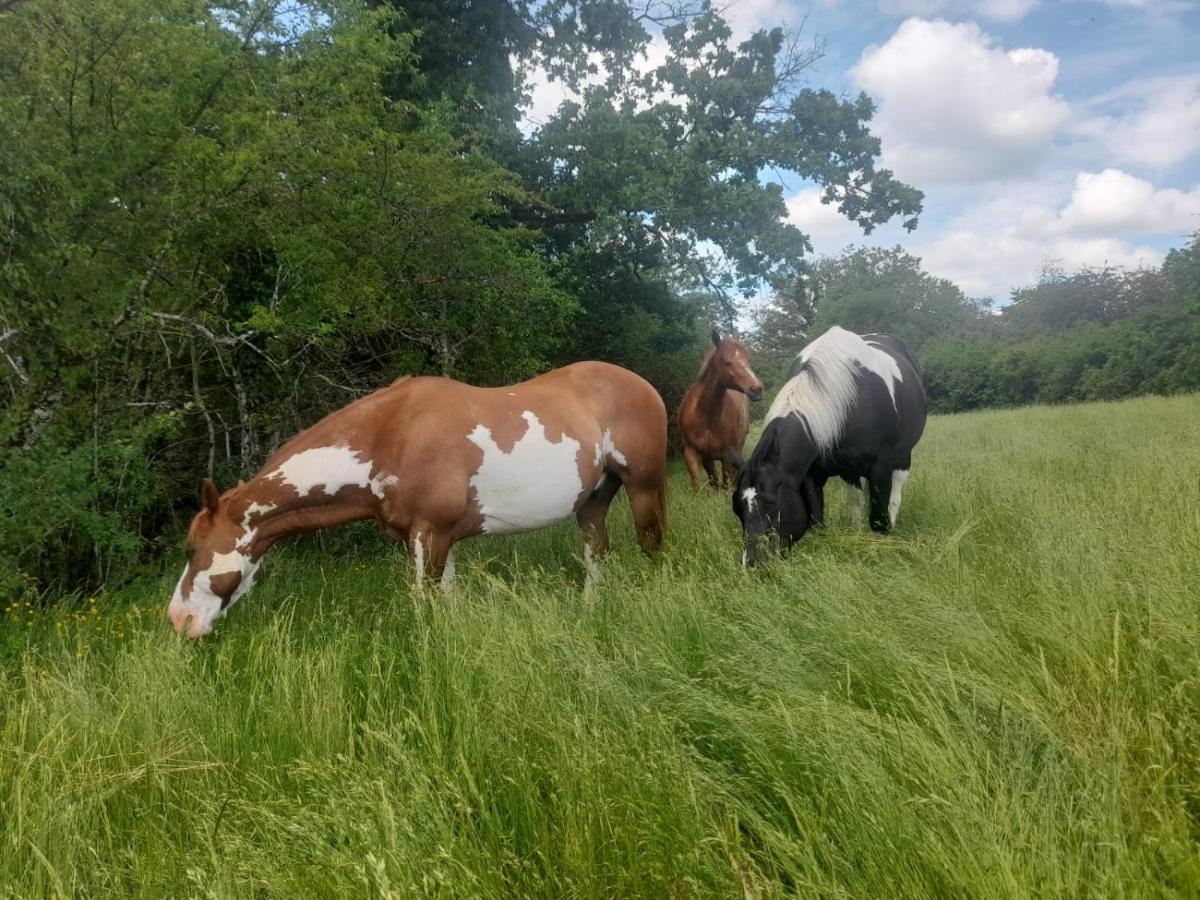 Gites Les Ecuries Saserang Mouilleron Exteriör bild