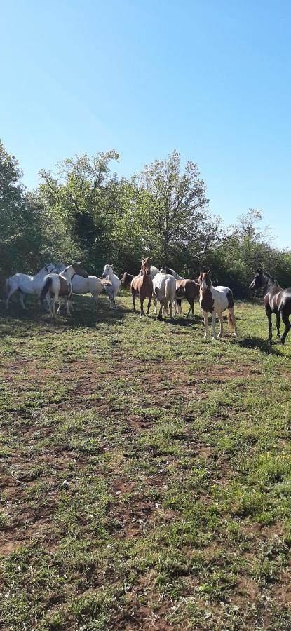 Gites Les Ecuries Saserang Mouilleron Exteriör bild
